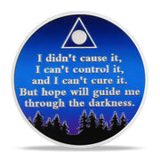 Gazing at Shooting Stars Sobriety Coin