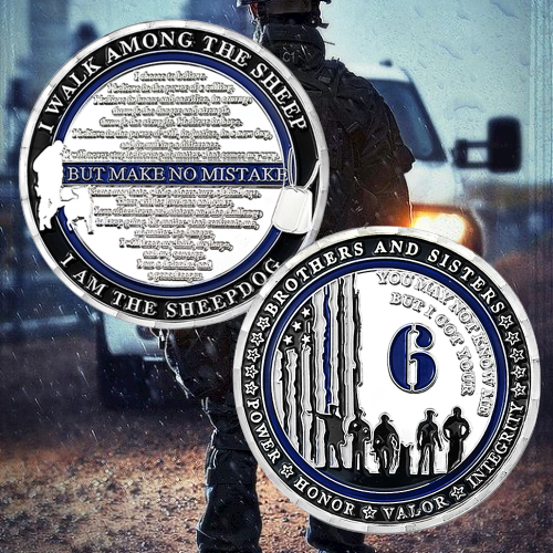 US Military Police Challenge Coin-ATSKNSKGIFT