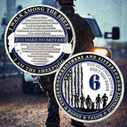 US Military Police Challenge Coin-ATSKNSKGIFT