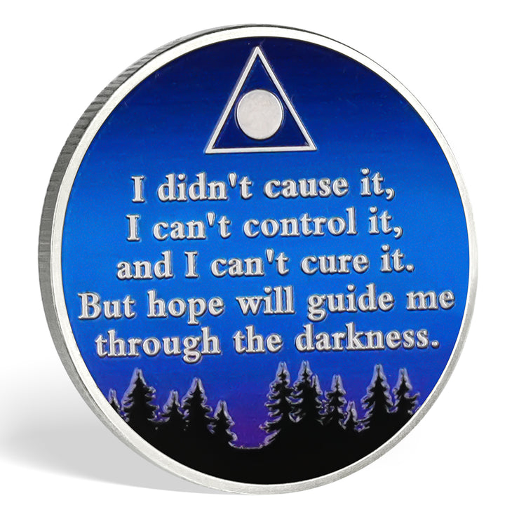 Gazing at Shooting Stars Sobriety Coin