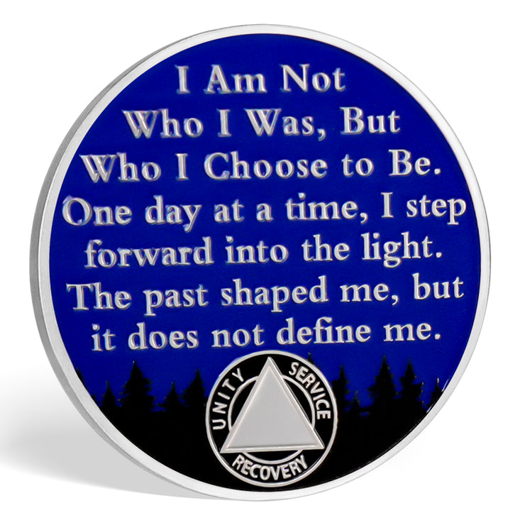 Personalized Rooted in Strength Sobriety Coin – Bear & Aurora Design