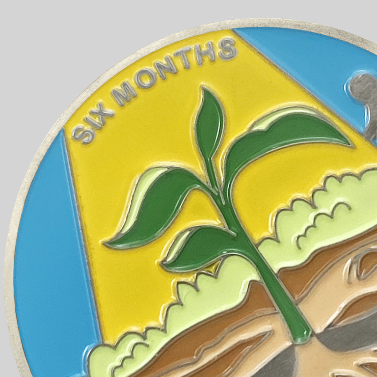 1 Month 1 Year Mountains and Highways Commemorative Gift Sobriety Coin