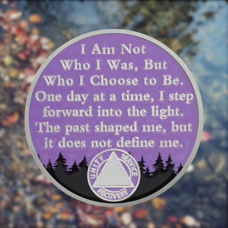 Personalized One Day at a Time Sobriety Coin AA Chips Recovery Gifts Sober Affirmation Token