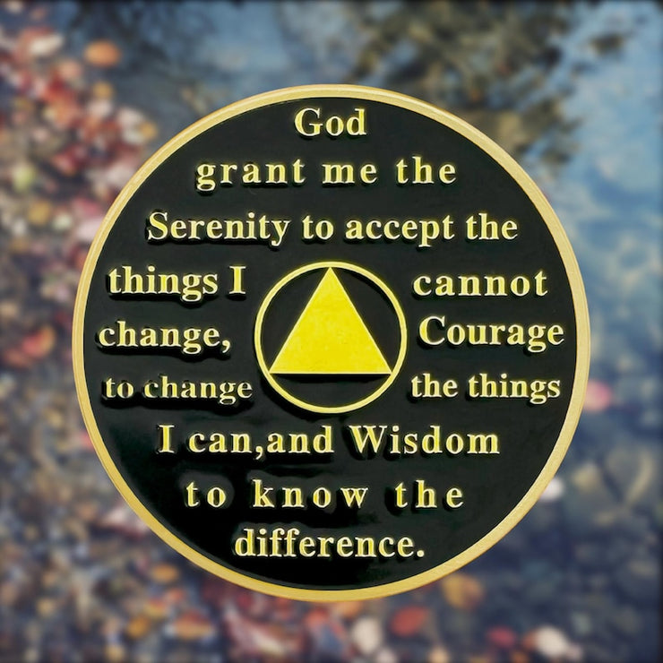 0-10 Year Artsy Oil Painting Recovery Addiction Tree of Life Sobriety Coin