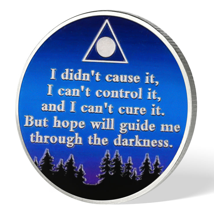 Gazing at Shooting Stars Sobriety Coin