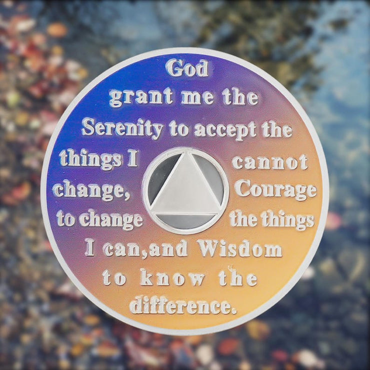 Personalized Reborn in Fire Sunflower Skeleton Sobriety Coin