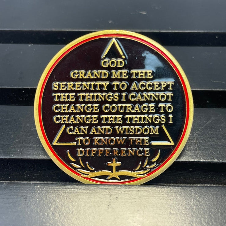 Universe Sun Moon Earth One Day at A Time Sobriety Coin