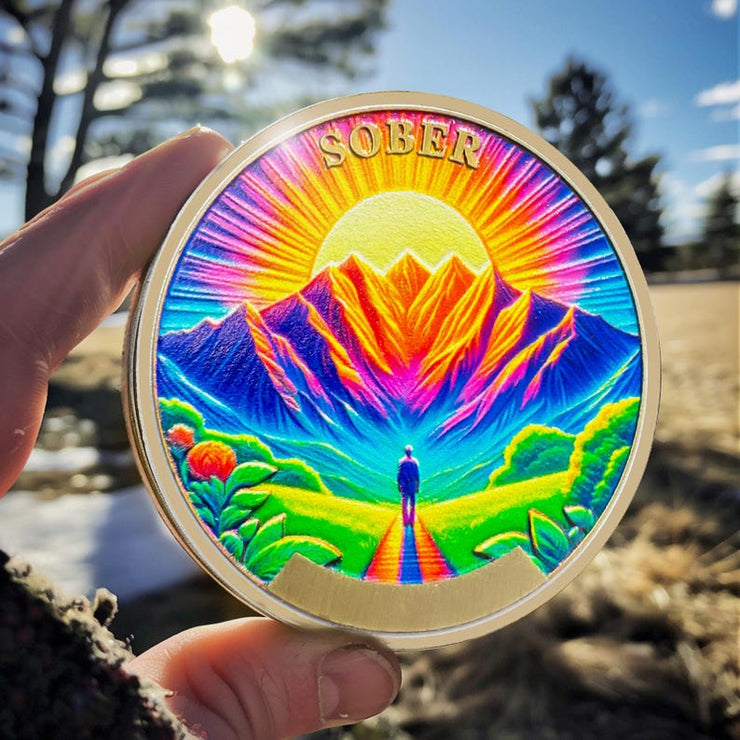 1-12 Months Recovery Addiction Celebrate Living Clean Sobriety Coin