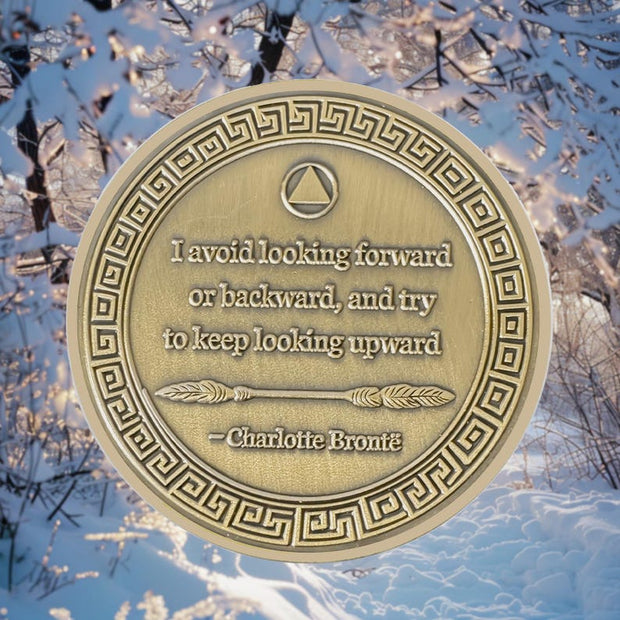 1-12 Months Recovery Addiction Celebrate Living Clean Sobriety Coin