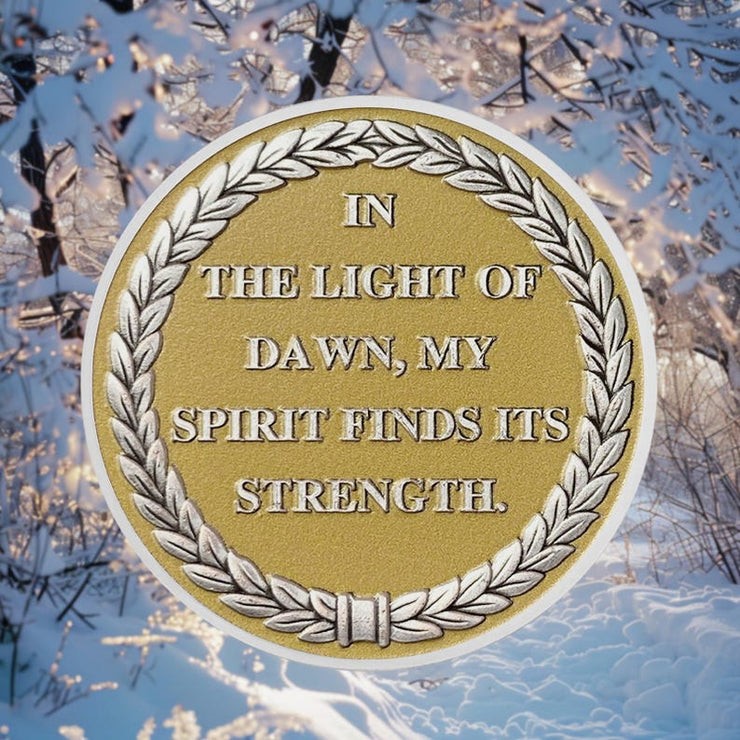 Delicate Triangle Sobriety Coin