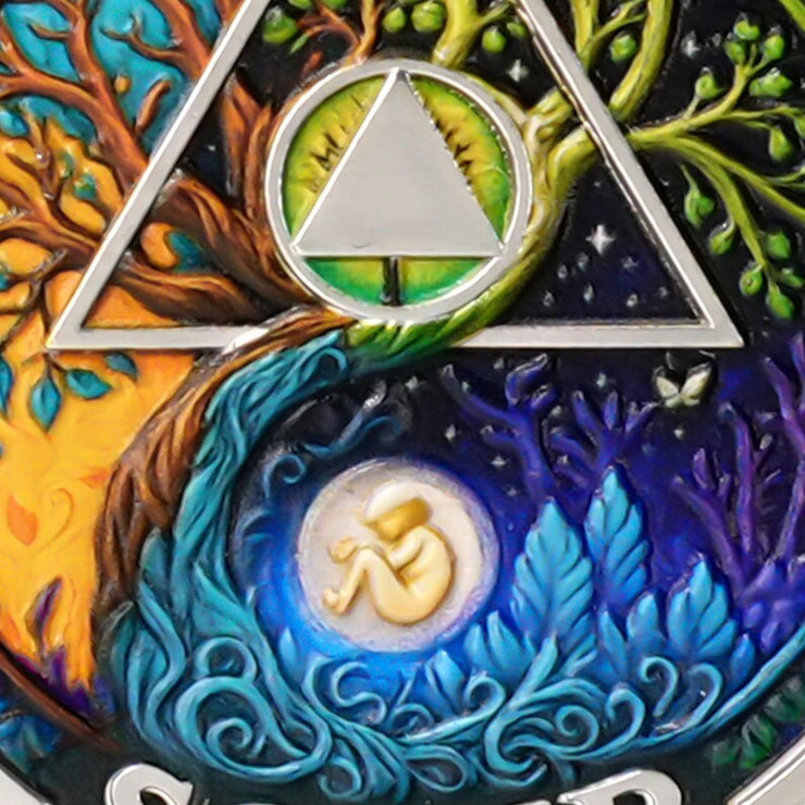 Personalized Day-night Cycle Customizable Strength and Growth Sobriety Coin