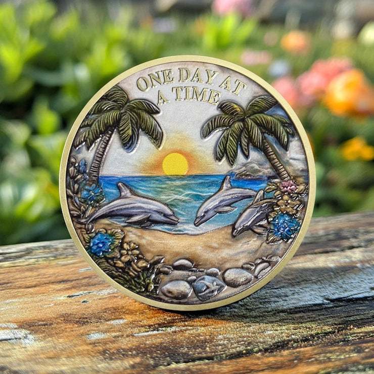 Recovery Addiction Sunset Beach Freedom Dolphins Sobriety Coin
