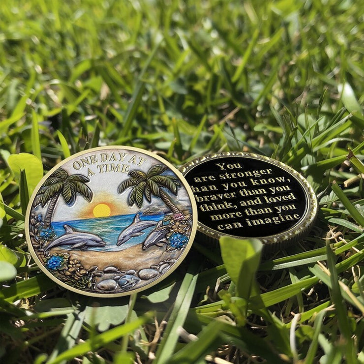 Recovery Addiction Sunset Beach Freedom Dolphins Sobriety Coin