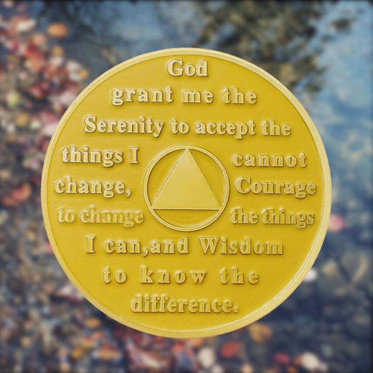 Fairy House Sobriety Coin