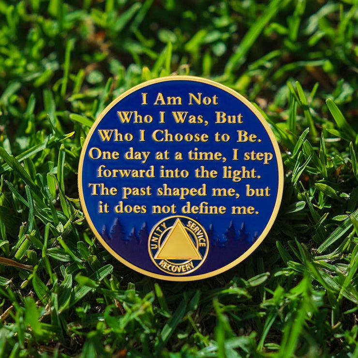 Personalized Sun Trees Milestone Sobriety Coin