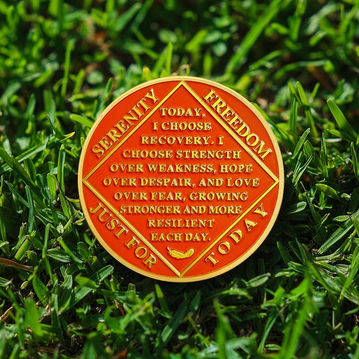 Personalized Phoenix Fairy Sun and Moon Sobriety Coin