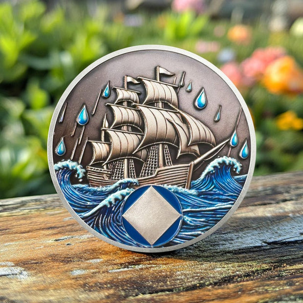 1-15 Year Addiction Recovery Braving The Storm Sobriety Coin