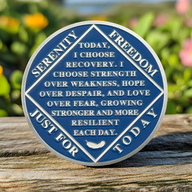 1-15 Year Addiction Recovery Braving The Storm Sobriety Coin