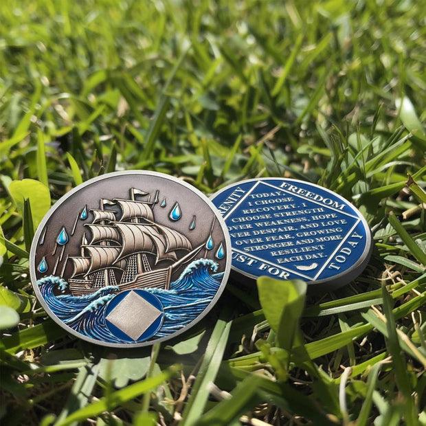 1-15 Year Addiction Recovery Braving The Storm Sobriety Coin