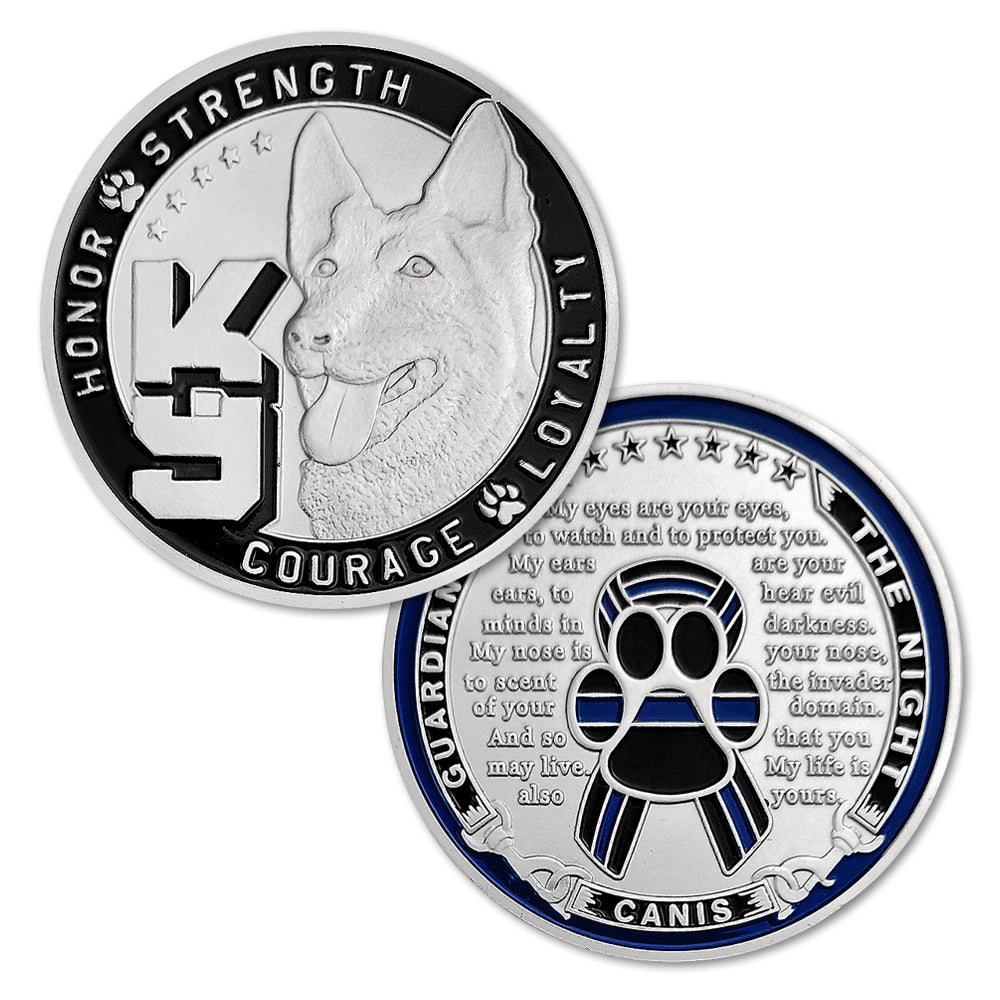 US Military Police Challenge Coin-ATSKNSKGIFT