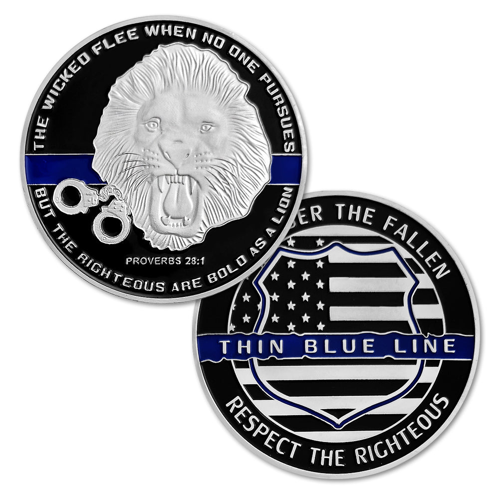 US Military Police Challenge Coin-ATSKNSKGIFT