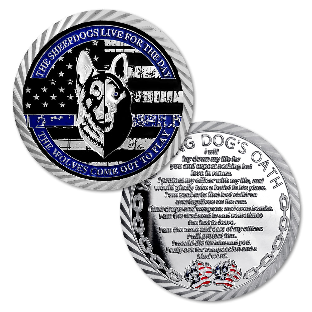 US Military Police Challenge Coin-ATSKNSKGIFT