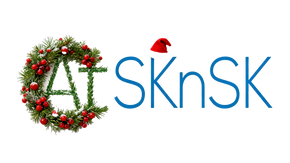 Atsknskgift.com