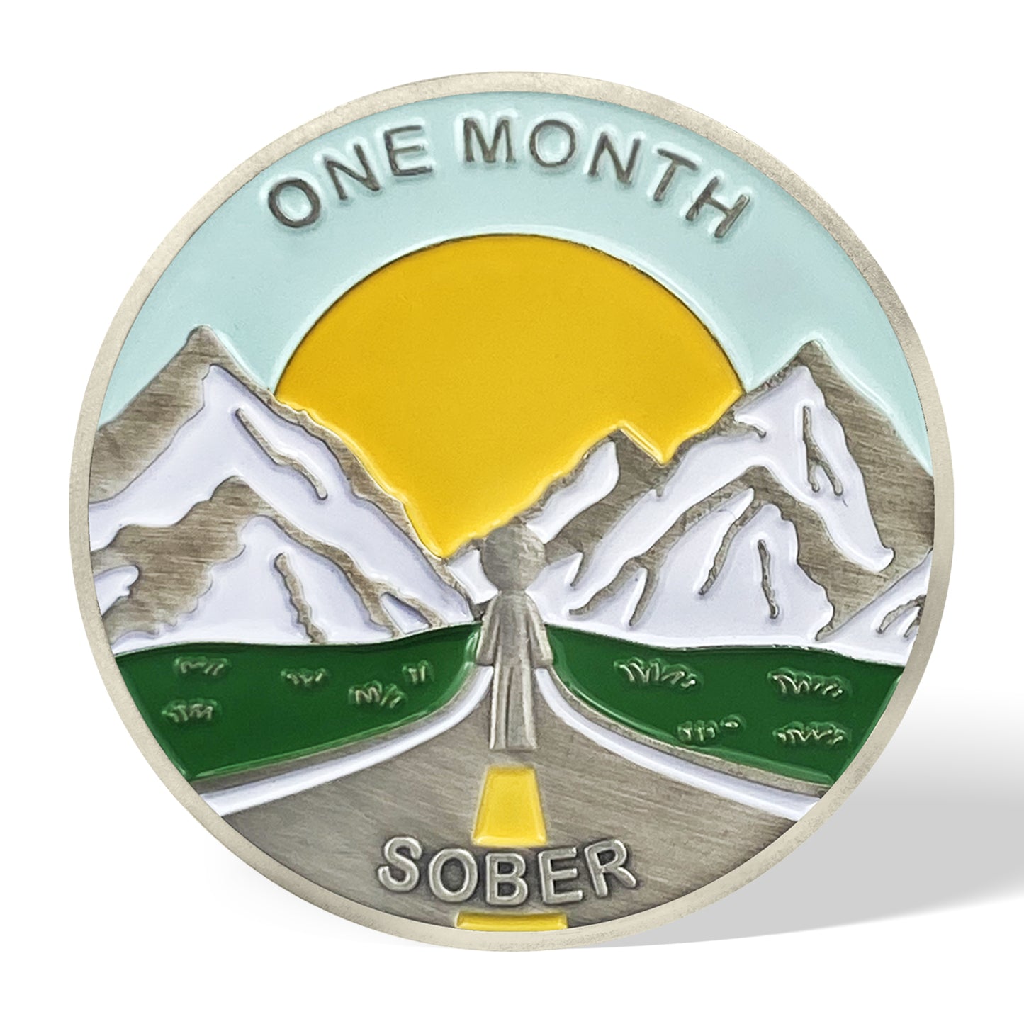 1 to 12 Months AA Chips Bundle Recovery Sobriety Coin Gift Set