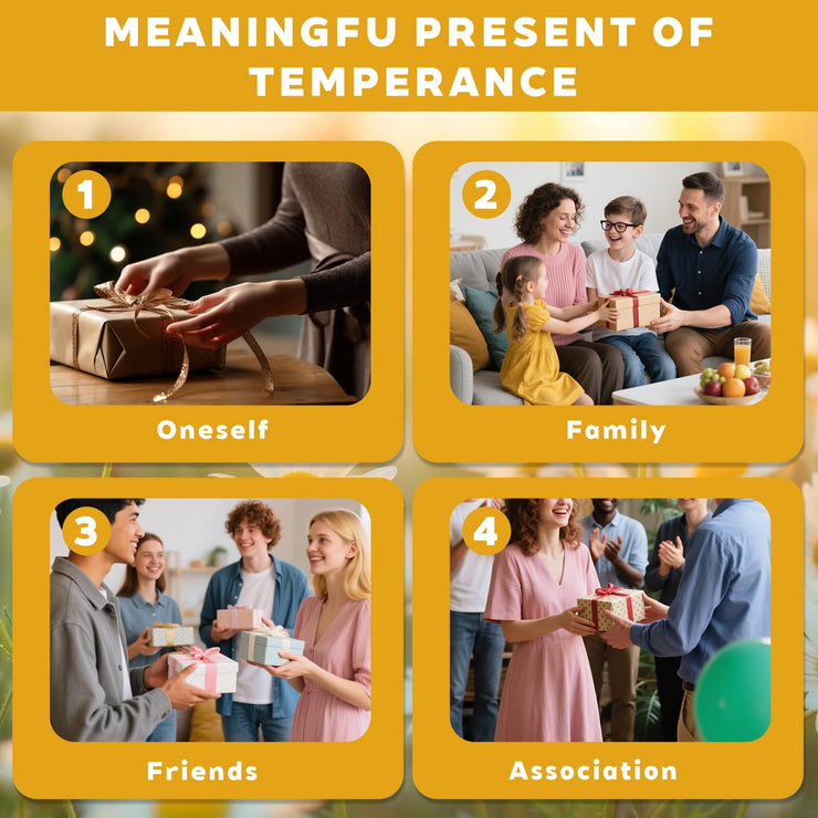 Hot Air Balloon Valley Sobriety Coin