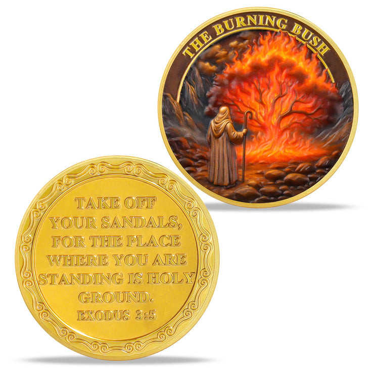 5 PCS Walking Jesus Lion Religious Coins - Inspirational Bible Verse Medallion Gift Set