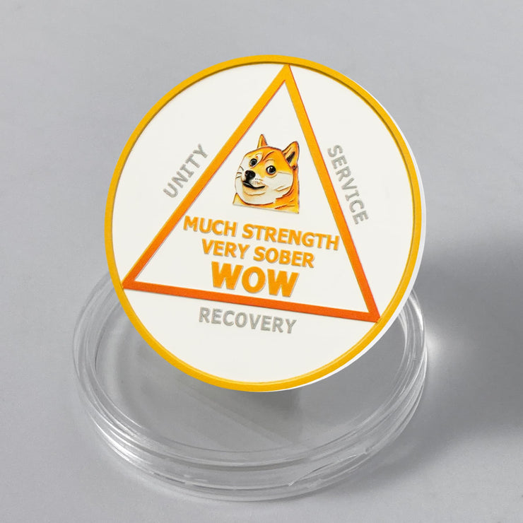 Funny Dog Meme & Triangle Symbol Doge Sobriety Coin