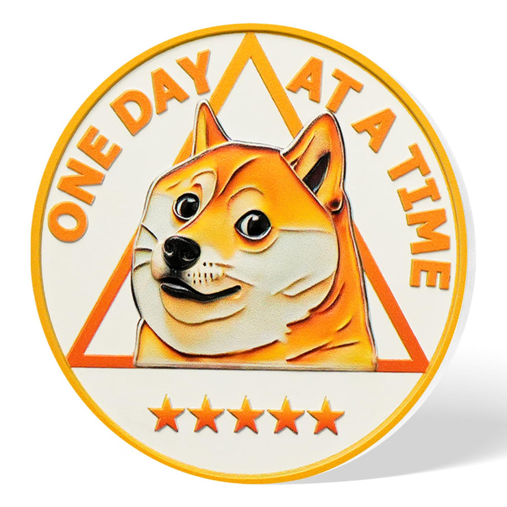 Funny Dog Meme & Triangle Symbol Doge Sobriety Coin