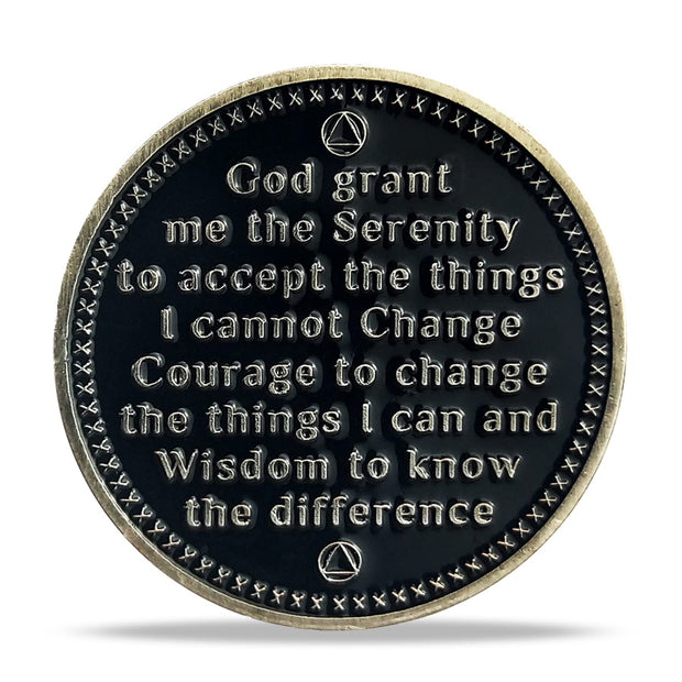 AA Medallion Recovery Grateful I Am Alive Sobriety Coin