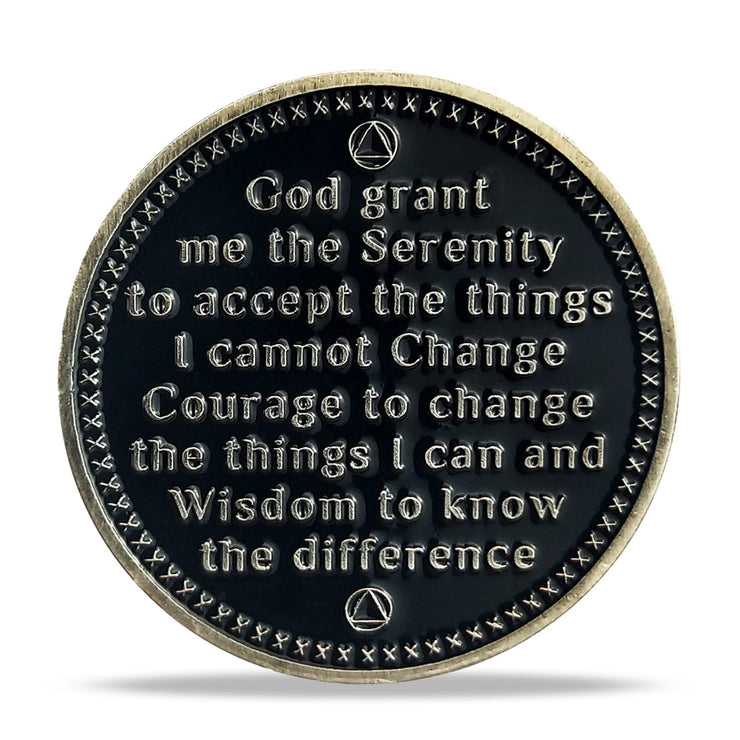 AA Medallion Recovery Grateful I Am Alive Sobriety Coin