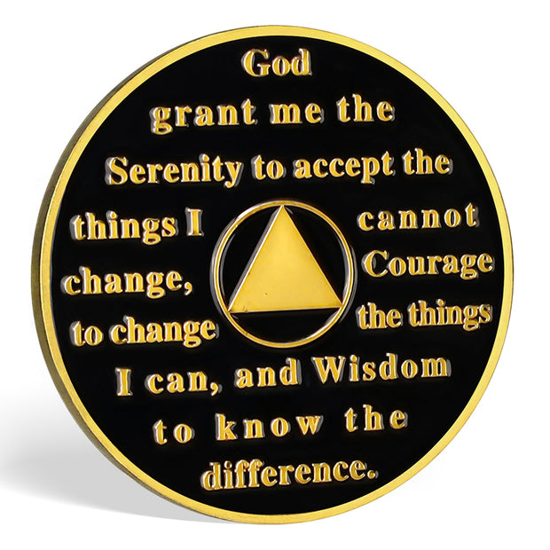 Hot Air Balloon Valley Sobriety Coin