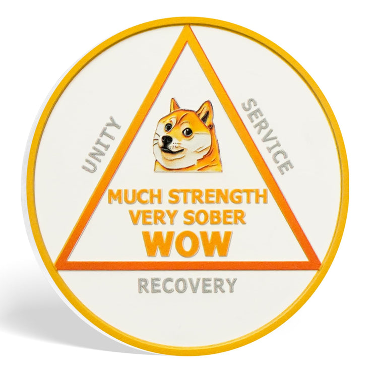 Funny Dog Meme & Triangle Symbol Doge Sobriety Coin