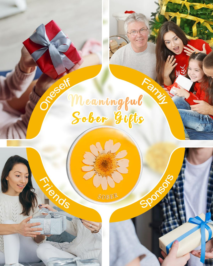 Real Dried Pressed Flowers Handmade Daisy Resin Sobriety Coin