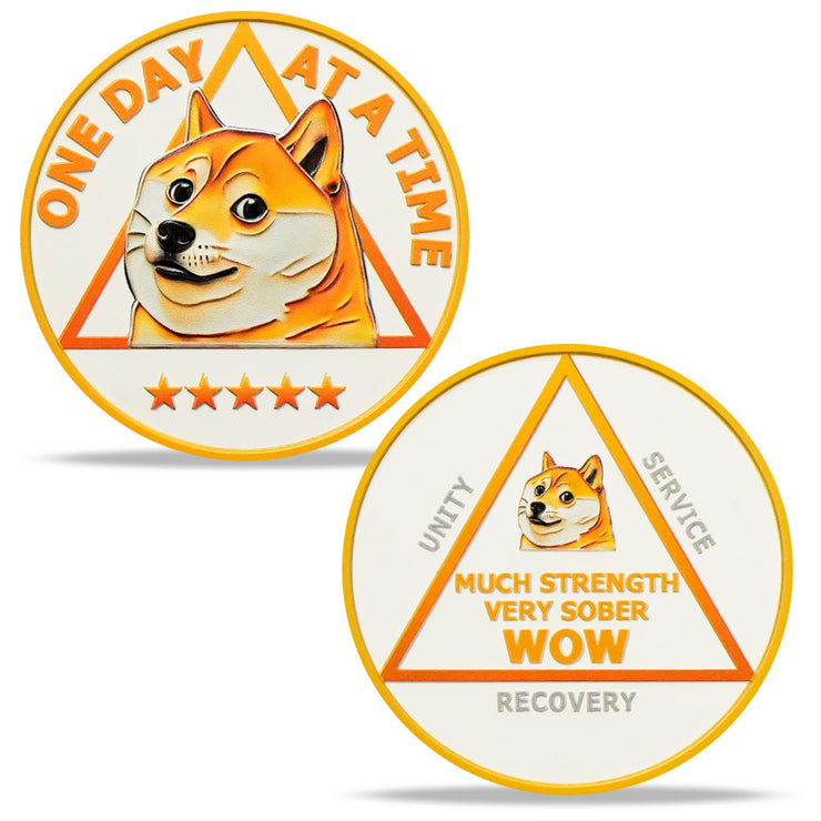 Funny Dog Meme & Triangle Symbol Doge Sobriety Coin