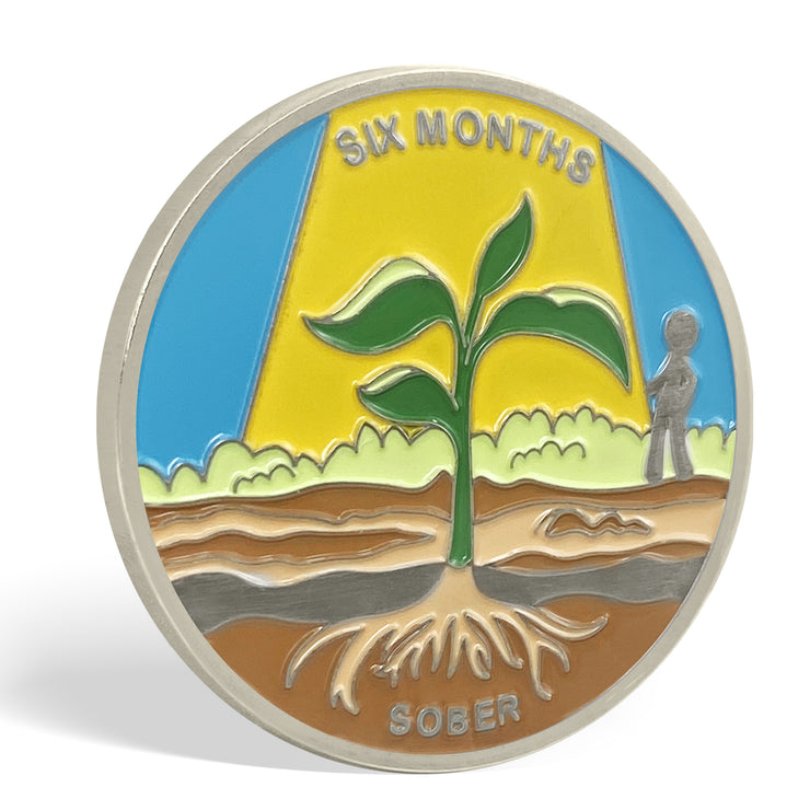 1 Month 1 Year Mountains and Highways Commemorative Gift Sobriety Coin