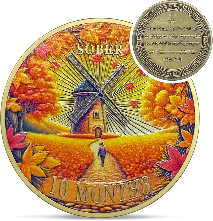 1-12 Months Recovery Addiction Celebrate Living Clean Sobriety Coin