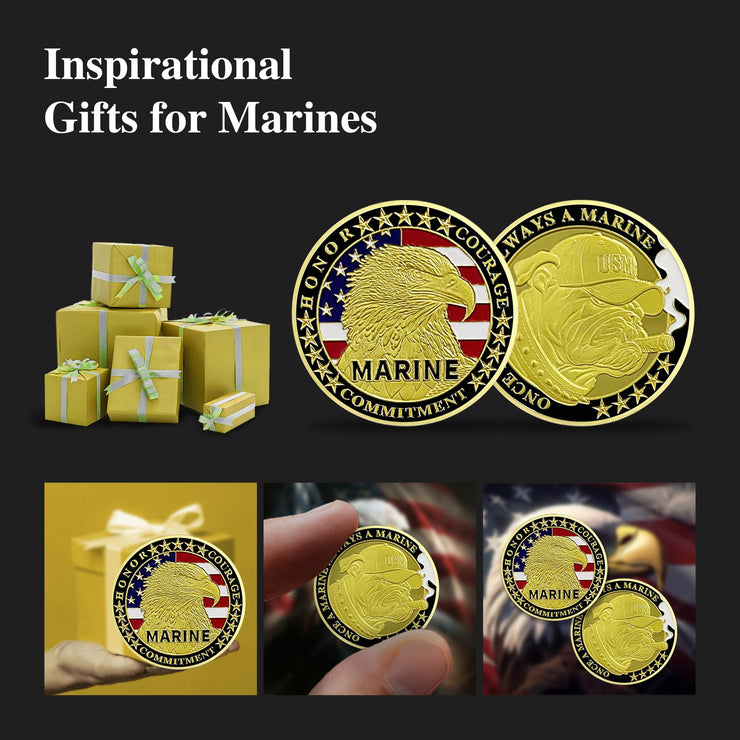 US Marine Devil Dog Challenge Coin Military Coins Gift for Marines