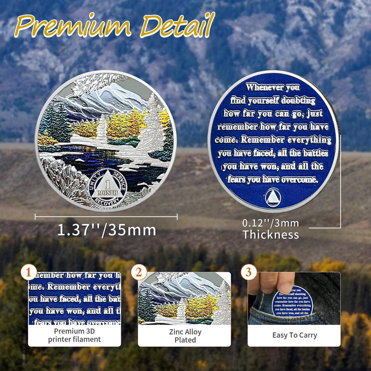 1-12 Month Recovery Seasonal Landscapes Sobriety Coins