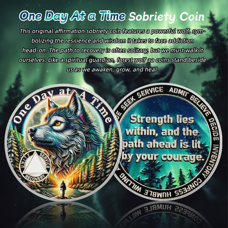 Personalized Recovery Triangle Forest Wolf One Day at a Time Sobriety Coin