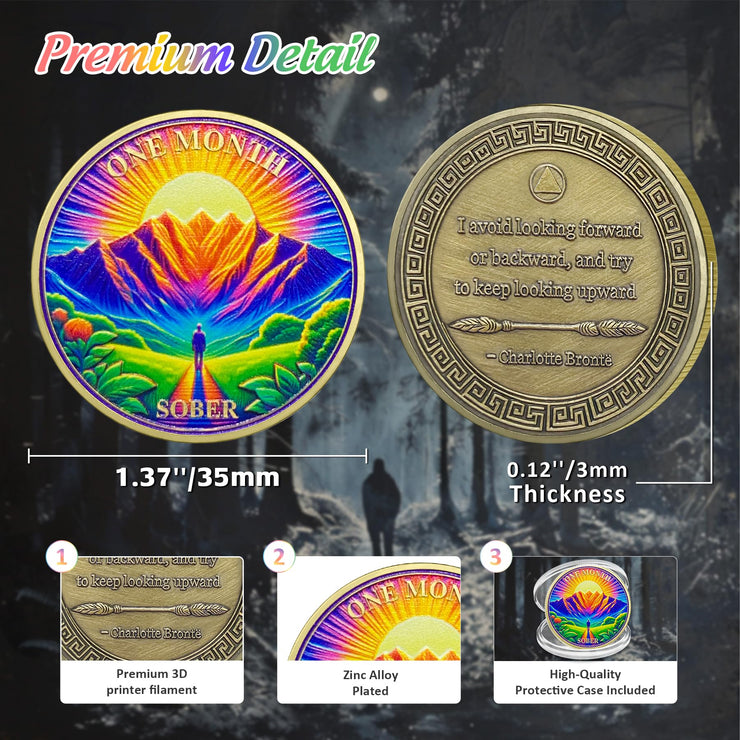 1-12 Months Recovery Addiction Celebrate Living Clean Sobriety Coin