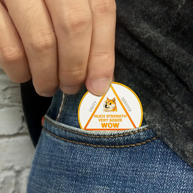Funny Dog Meme & Triangle Symbol Doge Sobriety Coin
