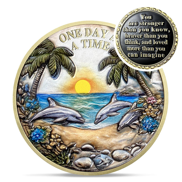 Recovery Addiction Sunset Beach Freedom Dolphins Sobriety Coin
