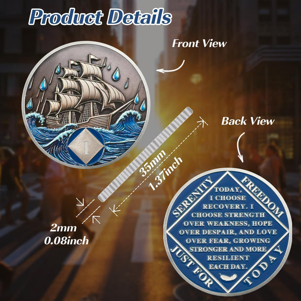 1-15 Year Addiction Recovery Braving The Storm Sobriety Coin