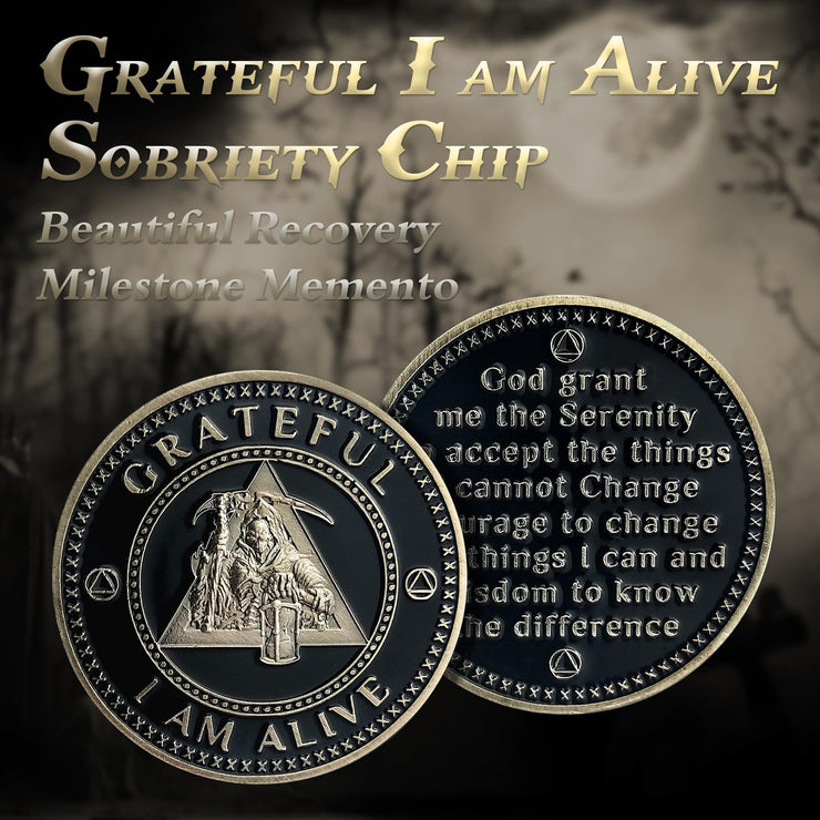 AA Medallion Recovery Grateful I Am Alive Sobriety Coin