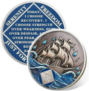 1-15 Year Addiction Recovery Braving The Storm Sobriety Coin