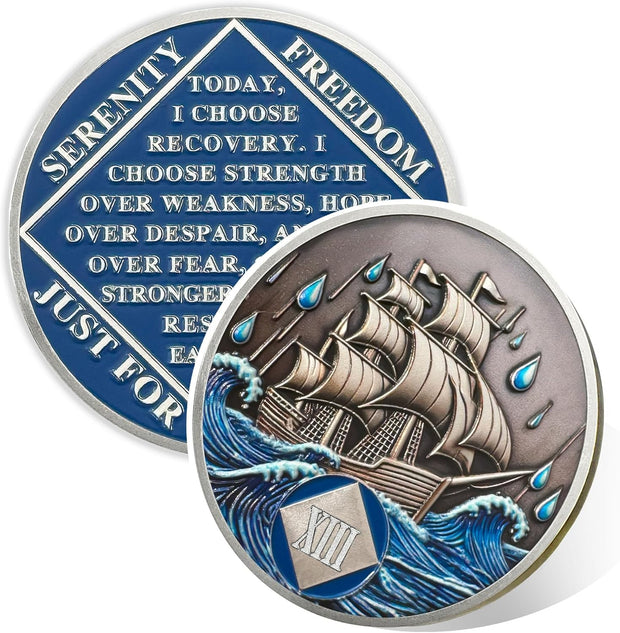 1-15 Year Addiction Recovery Braving The Storm Sobriety Coin
